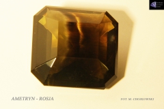 ametryn-rosja