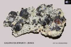 galena-na-kwarcu