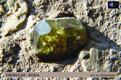 grosular